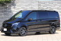 2022 Mercedes-Benz V CLASS 