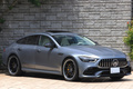 2020 Mercedes-AMG GT null