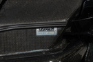 2010 Honda CIVIC TYPE R FD2 Civic Type-R, MUGEN One-Make Race ECM& Front Under Spoiler & Front Sports Grille, INGS GT WING
