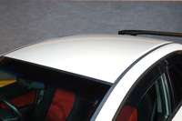 2010 Honda CIVIC TYPE R FD2 Civic Type-R, MUGEN One-Make Race ECM& Front Under Spoiler & Front Sports Grille, INGS GT WING