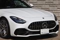 2025 Mercedes-AMG GT 