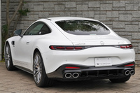 2025 Mercedes-AMG GT 