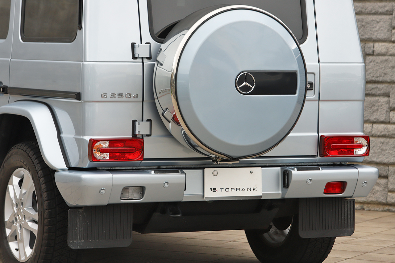 2017 Mercedes-Benz G CLASS 