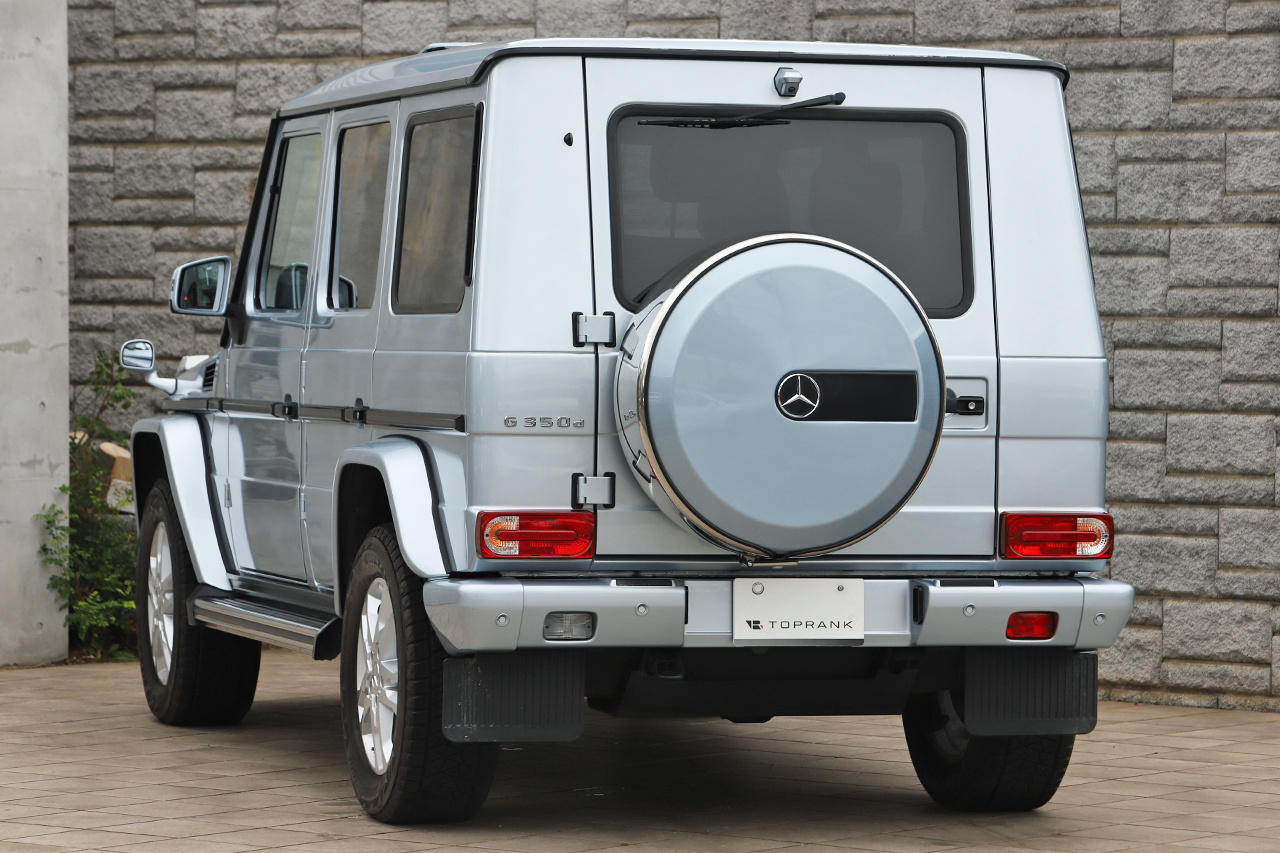 2017 Mercedes-Benz G CLASS 