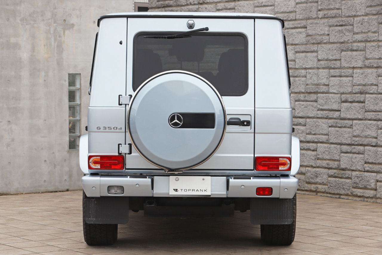 2017 Mercedes-Benz G CLASS 